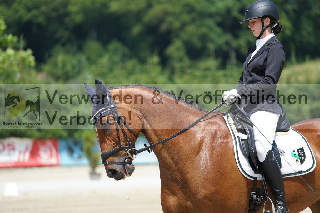 DSC04974 | equestrian-live-com