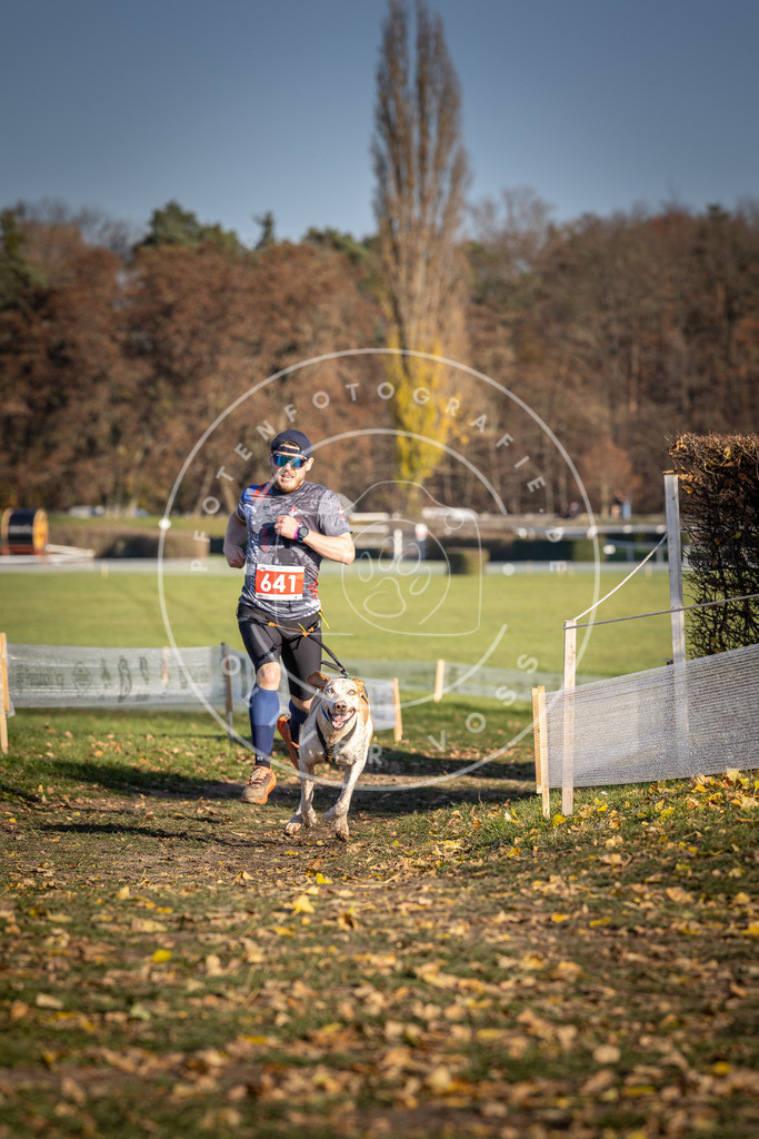 CaniXpix_DV3A0314 | Hundefotografie, Tierfotograf, Pfotenfotografie, Fotoshooting Hund, Hunde Portrait, Hundesport, Hundeportraits, Heideshooting, Hunde, Sportfotograf, Hundefotograf, Turnierhundsport, THS,  - Realisiert mit Pictrs.com