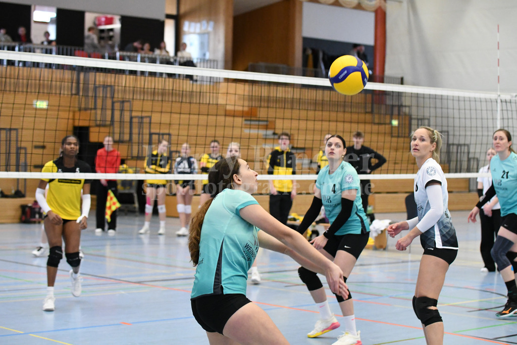 TSV Deggendorf Damen  : FC Ruderting | TSV Deggendorf Damen Volleyball - Realisiert mit Pictrs.com