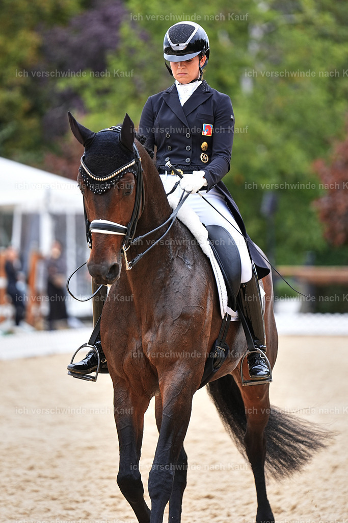 11-110-Dressur S___-Marixx-1548 | working equitationturnier fotograf videograf stoibphotography marixx film working equitation deutschland reitsport turnierfotografie eventfotografie equestrian events