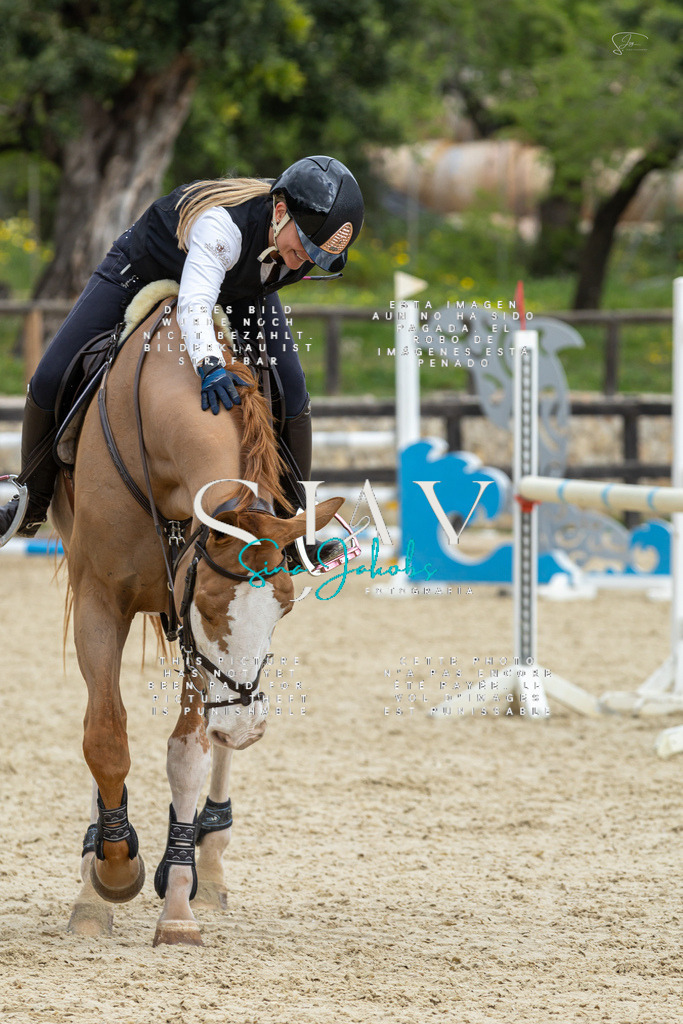 IMG_4813 | s-jay-photography - Realisiert mit Pictrs.com