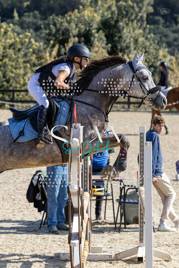 IMG_6307 | s-jay-photography - Realisiert mit Pictrs.com