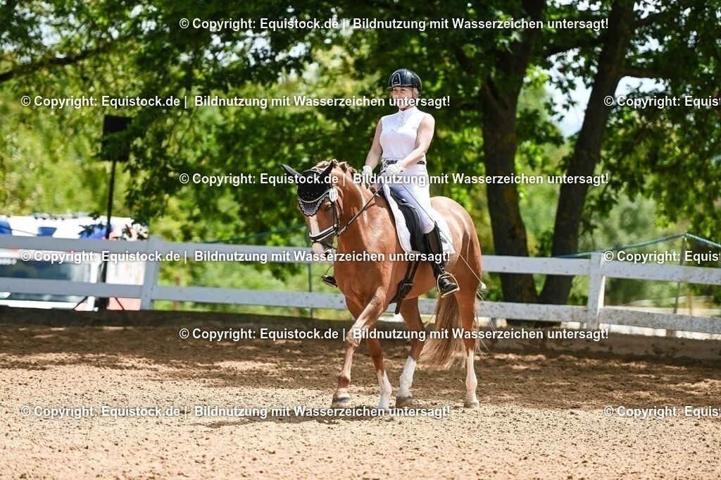 20230716_03_Dressurprfg. Kl.L - Tr._0529 | equistock