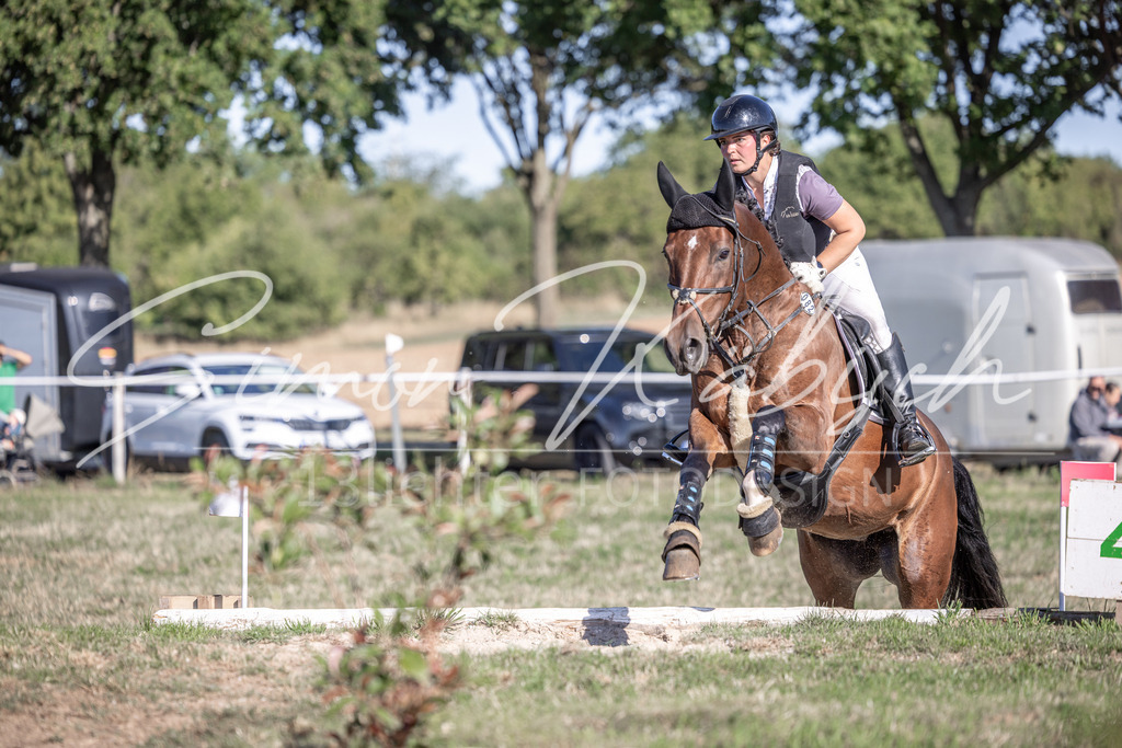 20260906-_3LI2044 | Tierfotografie Pferde, Hunde, Katzen, Haustiere.
Turnierfotografie Reitturniere, Reiten, Springreiten, Dressur in Hanau, dem Main-Kinzig-Kreis und dem Rhein-Main- Gebiet um Frankfurt