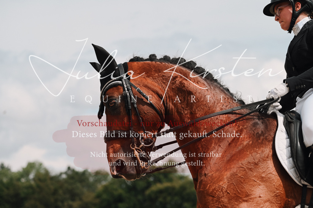 DSC_4394 | Pferde- und Turnierfotografie in Westsachsen. Pferdeportraits, Auftragszeichnungen und intuitive Kunst.