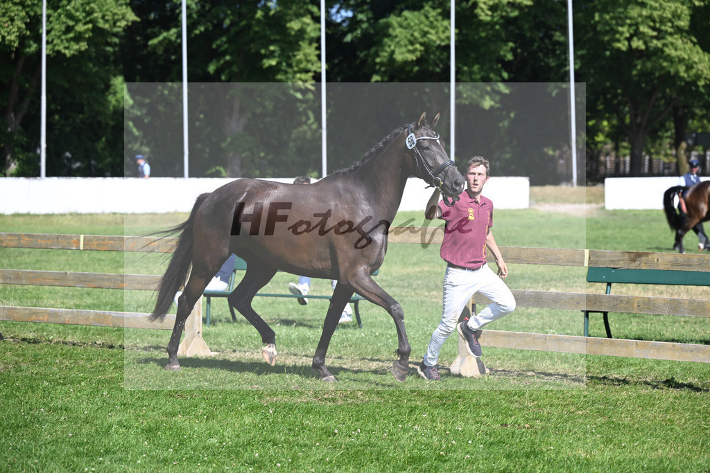 Kat-Nr. 58 Gacia Zackordonna v. Zackorado_Boensch_19251188 | hf-fotografie - Realizzato con Pictrs.com