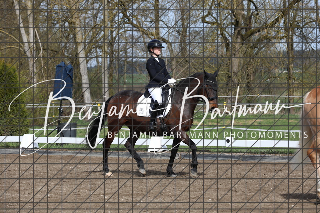 AZ2A4466 | Benjamin Bartmann Photomoments