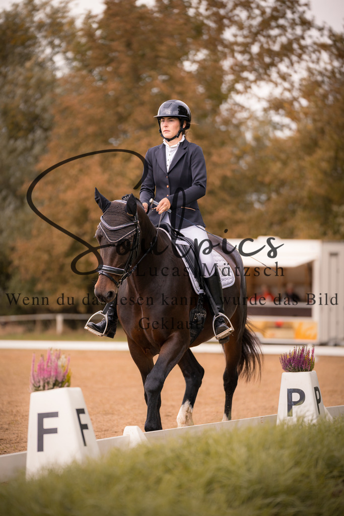 A7V05193 | Pferdefotograf