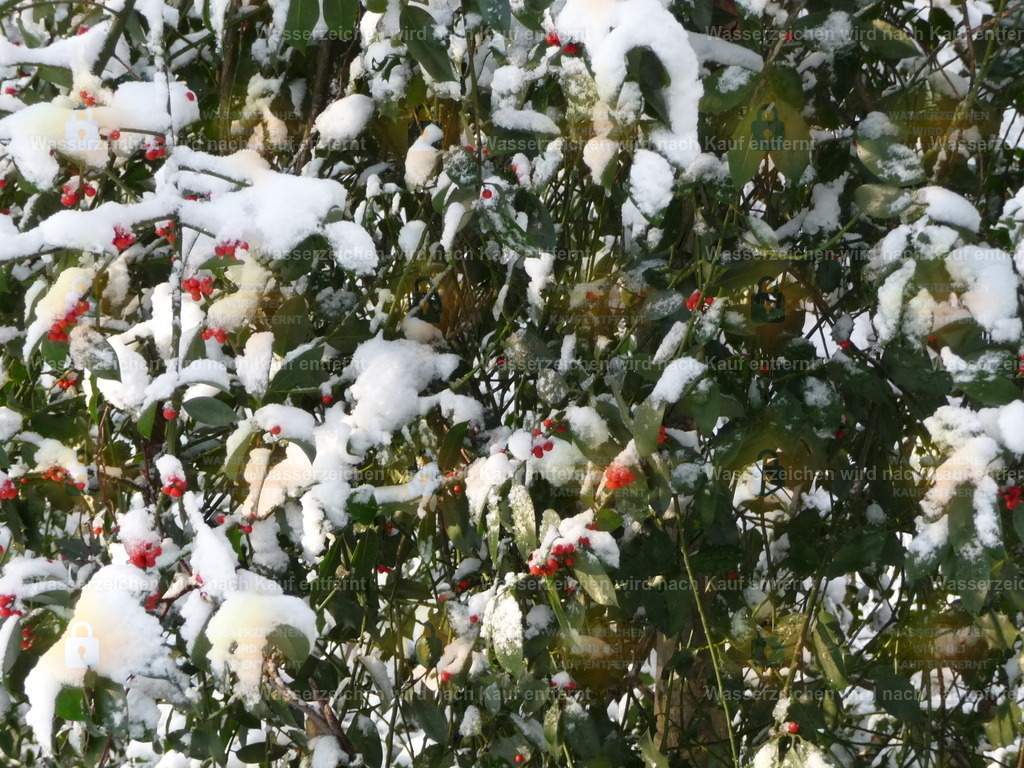 P1000202 | Fotoseite Wolkenblende - Das Hobby fotografieren begleitet mich schon  viele  Jahre. Auf den nächsten Seiten zeige ich ein paar Schnappschüsse der letzten Jahre und es kommen immer neue hinzu. Schau einfach mal rein. - Realisiert mit Pictrs.com