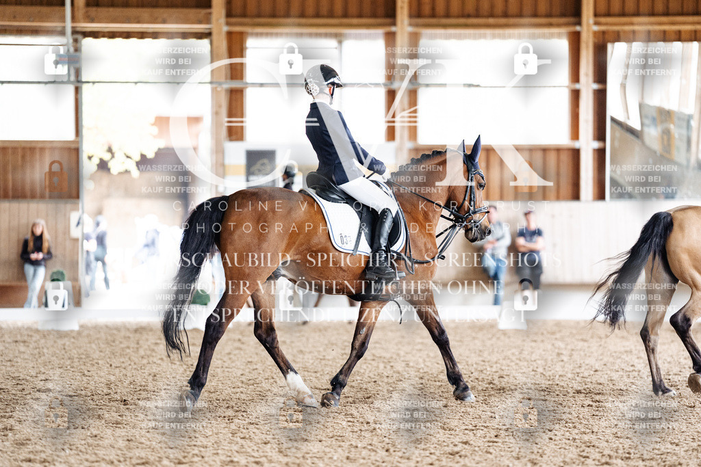 CK901581 | Turnierfotografie Pferdefotografie Trier Rheinland-Pfalz Pferdesport Reitsport Tierfotografie Sportfotografie Pferdevideo Pferdevideografie Equestrianvideography equestrianphotography  - Realisiert mit Pictrs.com