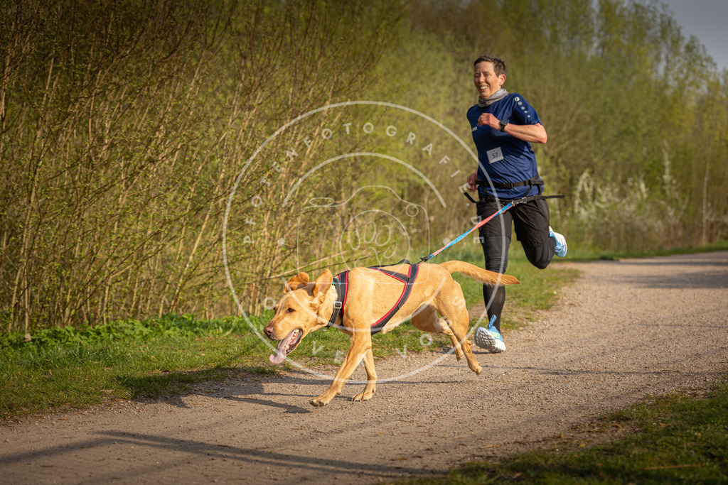 Pfotenfotografie_DV3A4682 | Hundefotografie, Tierfotograf, Pfotenfotografie, Fotoshooting Hund, Hunde Portrait, Hundesport, Hundeportraits, Heideshooting, Hunde, Sportfotograf, Hundefotograf, Turnierhundsport, THS,  - Realisiert mit Pictrs.com
