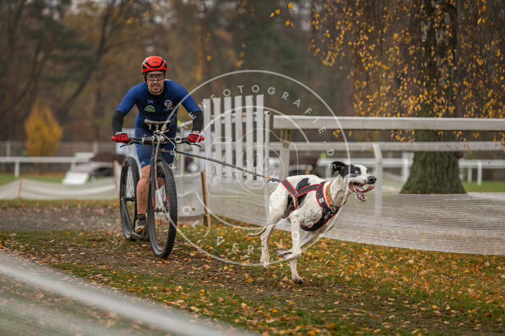 CaniXpix_DV3A8166 | Hundefotografie, Tierfotograf, Pfotenfotografie, Fotoshooting Hund, Hunde Portrait, Hundesport, Hundeportraits, Heideshooting, Hunde, Sportfotograf, Hundefotograf, Turnierhundsport, THS,  - Realisiert mit Pictrs.com