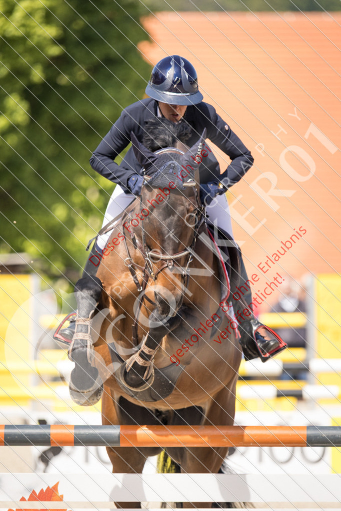 IMG_5093 | Sport-, Event- und Tierfotos in Profiqualität. Einfach auswählen, bestellen und herunterladen. Dein Moment – perfekt festgehalten.