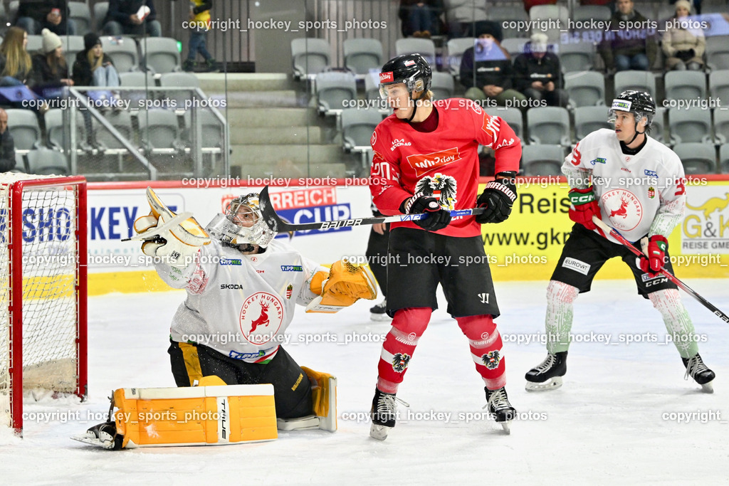 Österreich vs. Ungarn 14.12.2023 | Österreich vs. Ungarn 14.12.2023, Österreich vs. Ungarn  am 14.12.2023 in Klagenfurt (Heidi Horten Arena), Austria, (Photo by Bernd Stefan)