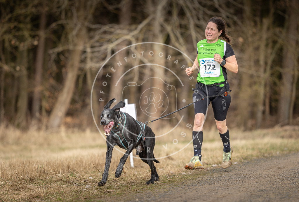 DV3A5395 | Hundefotografie, Tierfotograf, Pfotenfotografie, Fotoshooting Hund, Hunde Portrait, Hundesport, Hundeportraits, Heideshooting, Hunde, Sportfotograf, Hundefotograf, Turnierhundsport, THS,  - Realisiert mit Pictrs.com