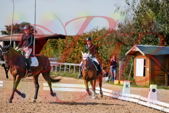 2026_10_03_Siefer-Hof_130255_Z63_64528652 | Professionelle Reitsport-, Turnier- und Eventfotografie von Robert Broda. Galerien mit ausgewählten und bearbeiteten Bildern direkt online ansehen und bestellen.