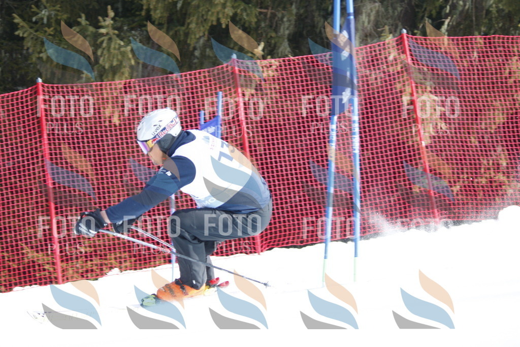 D6853 | holidayphoto