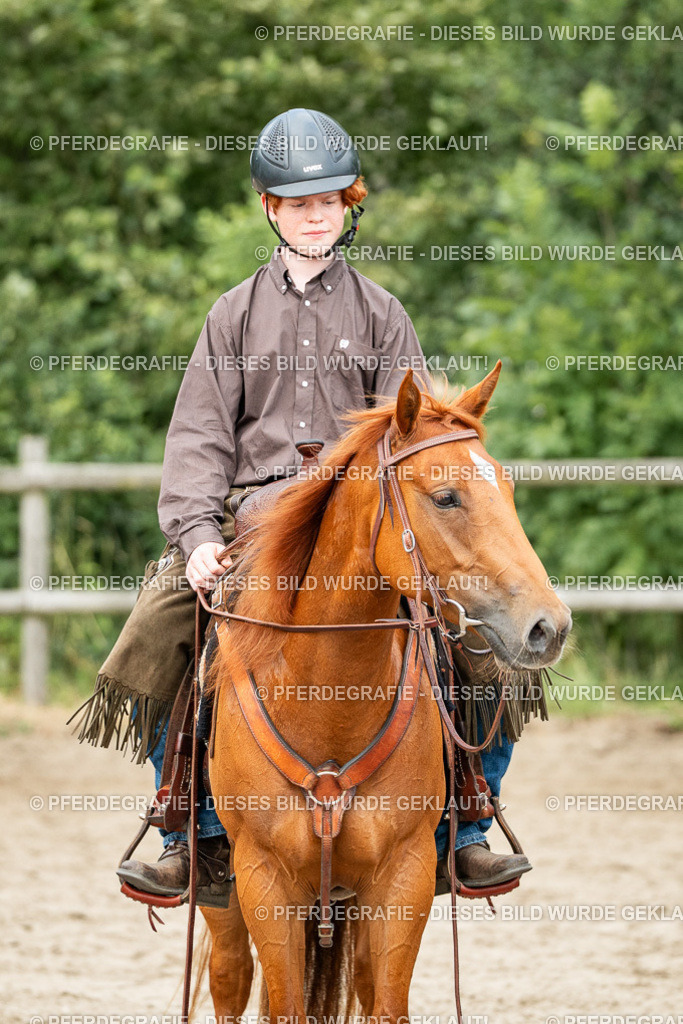 DSC04008 | Pferdegrafie