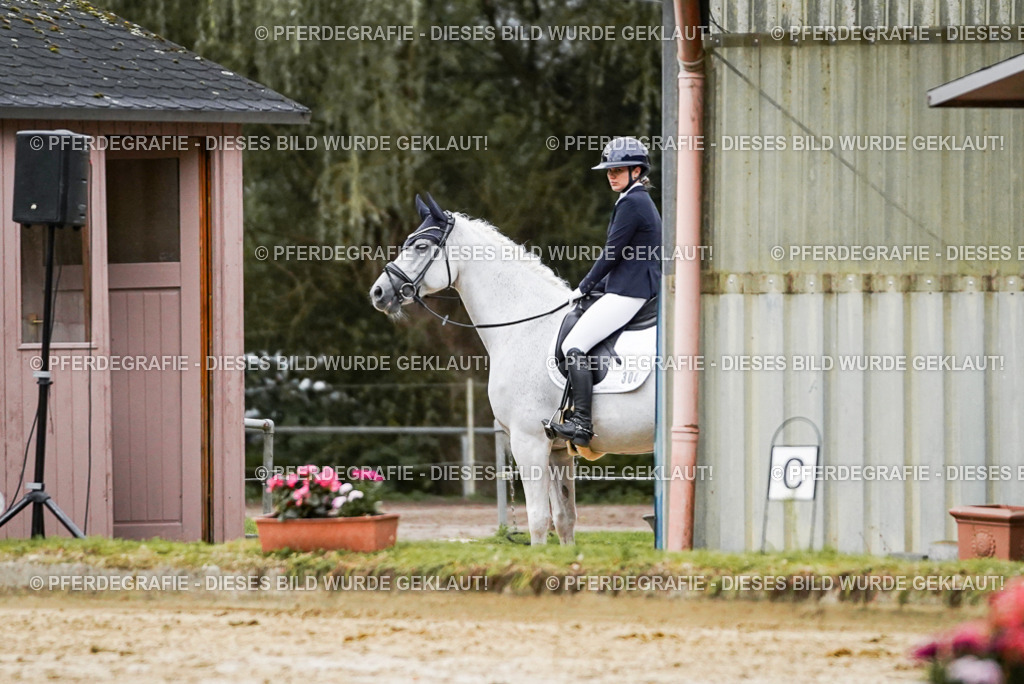 DSC06436 | Pferdegrafie