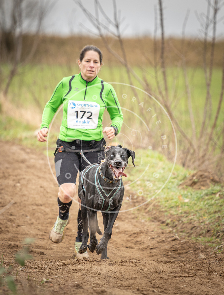 DV3A1960 | Hundefotografie, Tierfotograf, Pfotenfotografie, Fotoshooting Hund, Hunde Portrait, Hundesport, Hundeportraits, Heideshooting, Hunde, Sportfotograf, Hundefotograf, Turnierhundsport, THS,  - Realisiert mit Pictrs.com