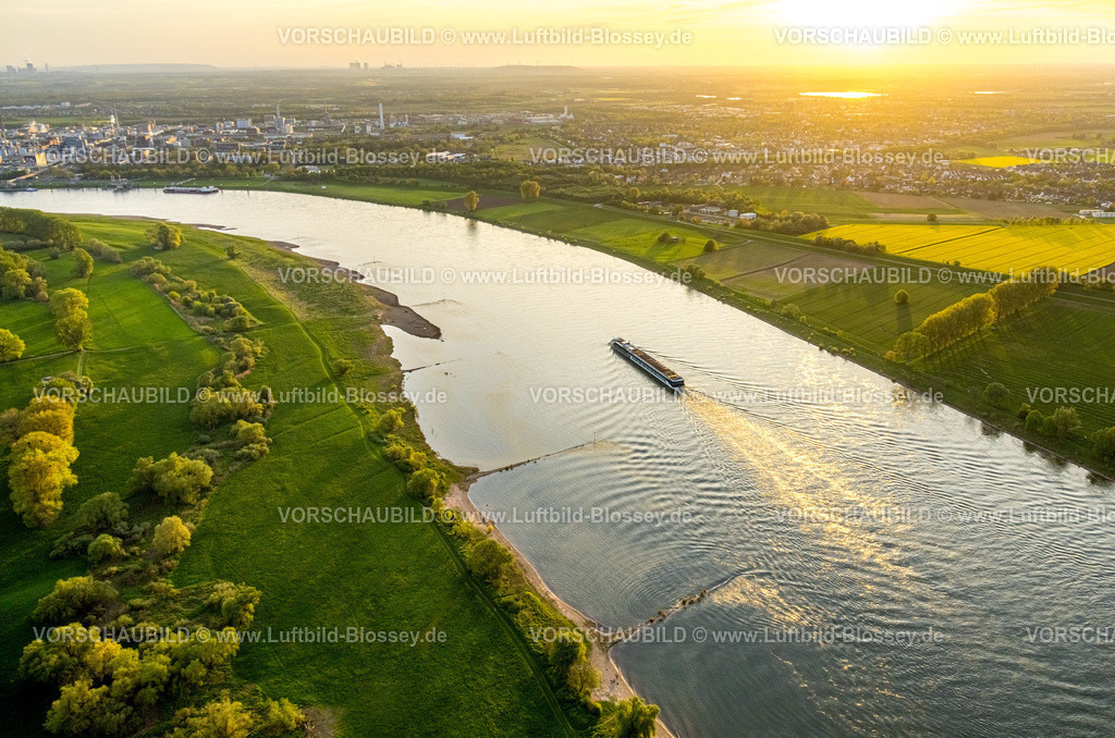 Monheim240404078 | Luftbild, Flusskreuzfahrten mit dem Flussschiff AmaSiena der amerikanischen Reederei AmaWaterways auf dem Fluss Rhein im Abendlicht, Rheinufer Monheim, Blick auf Dormagen und den Chempark Dormagen, Monheim am Rhein, Rheinland, Nordrhein-Westfalen, Deutschland
