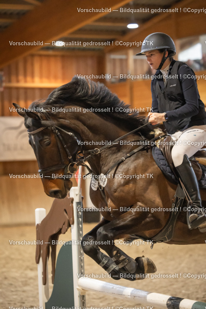 _D5A8440 | Emotionale Pferde- & People-Fotografie rund um Heidelberg, Leimen & Umgebung. Natürliche Fotos von Pferd, Mensch & Familie. Jetzt Termin sichern!