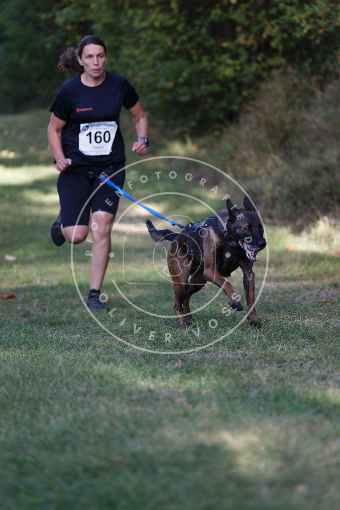0L8A5279 | Hundefotografie, Tierfotograf, Pfotenfotografie, Fotoshooting Hund, Hunde Portrait, Hundesport, Hundeportraits, Heideshooting, Hunde, Sportfotograf, Hundefotograf, Turnierhundsport, THS,  - Realisiert mit Pictrs.com