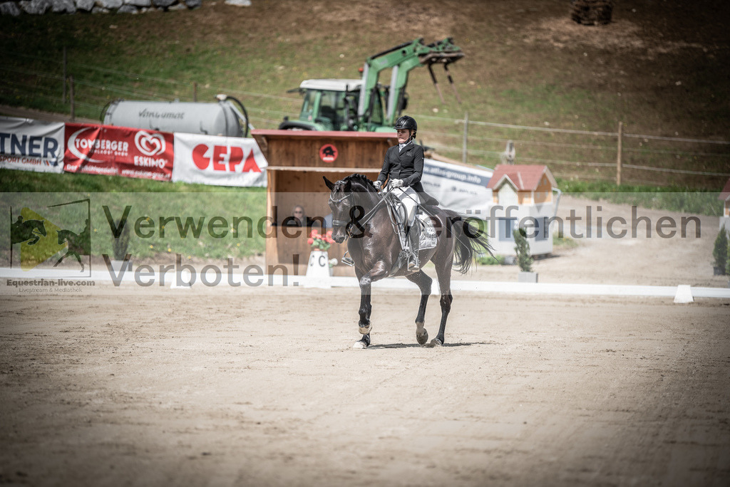 DSC_1645 | equestrian-live-com