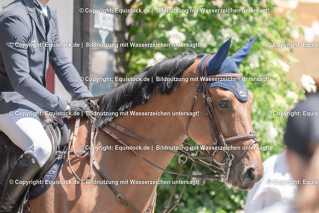 20230527_12_CSI4_Pfungstädter_0065 | equistock