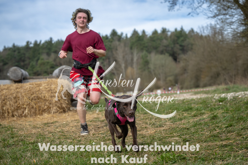 1056_ZZ94966 | kk-dogfotos