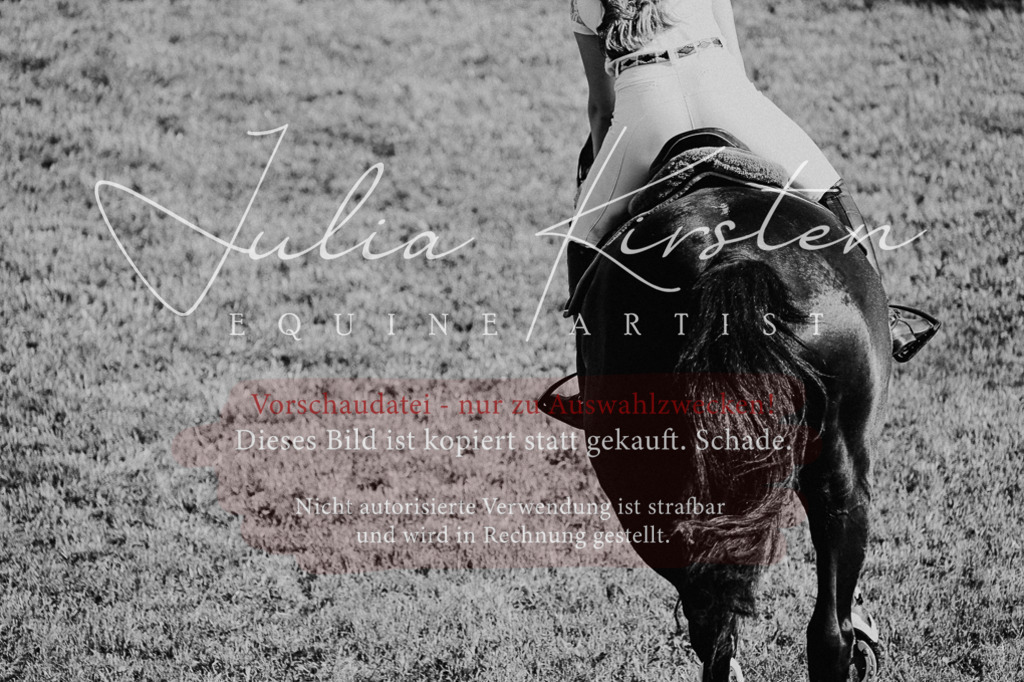 DSC_2511 | Pferde- und Turnierfotografie in Westsachsen. Pferdeportraits, Auftragszeichnungen und intuitive Kunst.