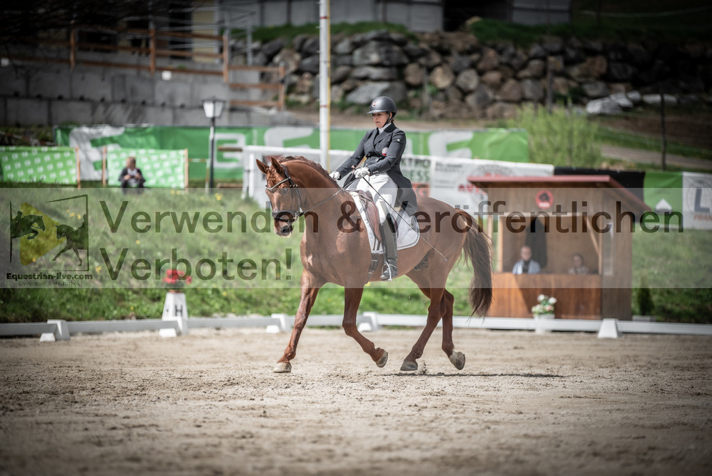 DSC_2581 | equestrian-live-com