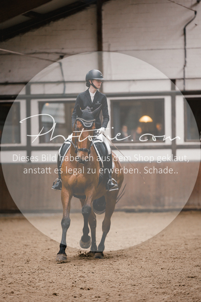 3I6A6761 | Stimmungsvolle Portraits und Reitsportfotografie im Ruhrgebiet und im Münsterland.

Pferdefotografie, Hundefotografie, Tierfotografie, Reportagen, Portraits von Tier und Mensch, Turnierfotografie in Bochum, Recklinghausen, Marl, Haltern am See, Dülmen.. - Realisiert mit Pictrs.com