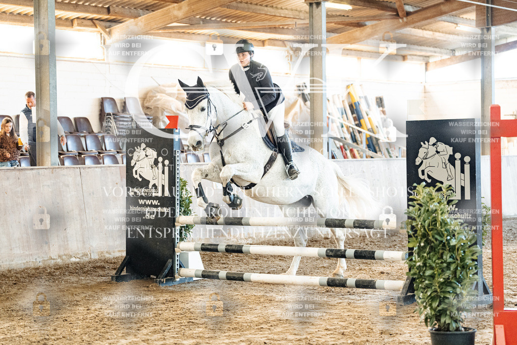 CK904464 | Turnierfotografie Pferdefotografie Trier Rheinland-Pfalz Pferdesport Reitsport Tierfotografie Sportfotografie Pferdevideo Pferdevideografie Equestrianvideography equestrianphotography  - Realisiert mit Pictrs.com