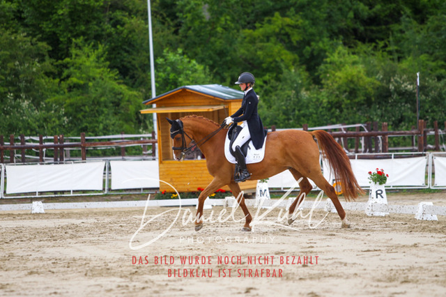 DKP47944 | Turnierfotos kaufen im Webshop von Daniel Kuhl Photography – entdecke professionelle Reitsportfotos aus Turnieren & Events. Hochwertige Turnierbilder online bestellen & sichern. Jetzt Fotos von Reitsportturnieren kaufen!
