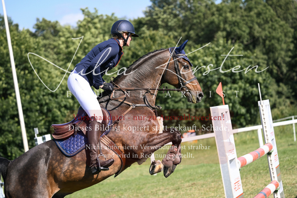 DSC_1432 | Pferde- und Turnierfotografie in Westsachsen. Pferdeportraits, Auftragszeichnungen und intuitive Kunst.