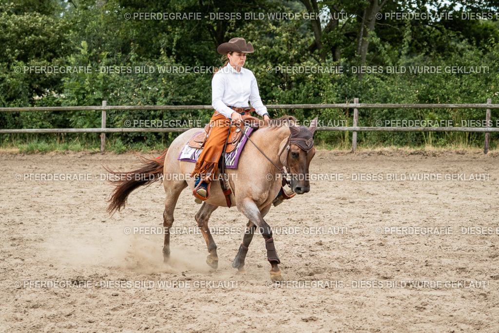 DSC02508 | Pferdegrafie