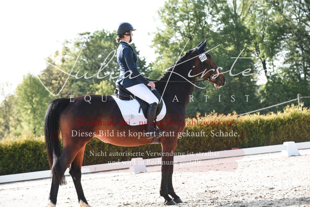 20230518_JK-Röhrsdorf-09-0743 | Pferde- und Turnierfotografie in Westsachsen. Pferdeportraits, Auftragszeichnungen und intuitive Kunst.