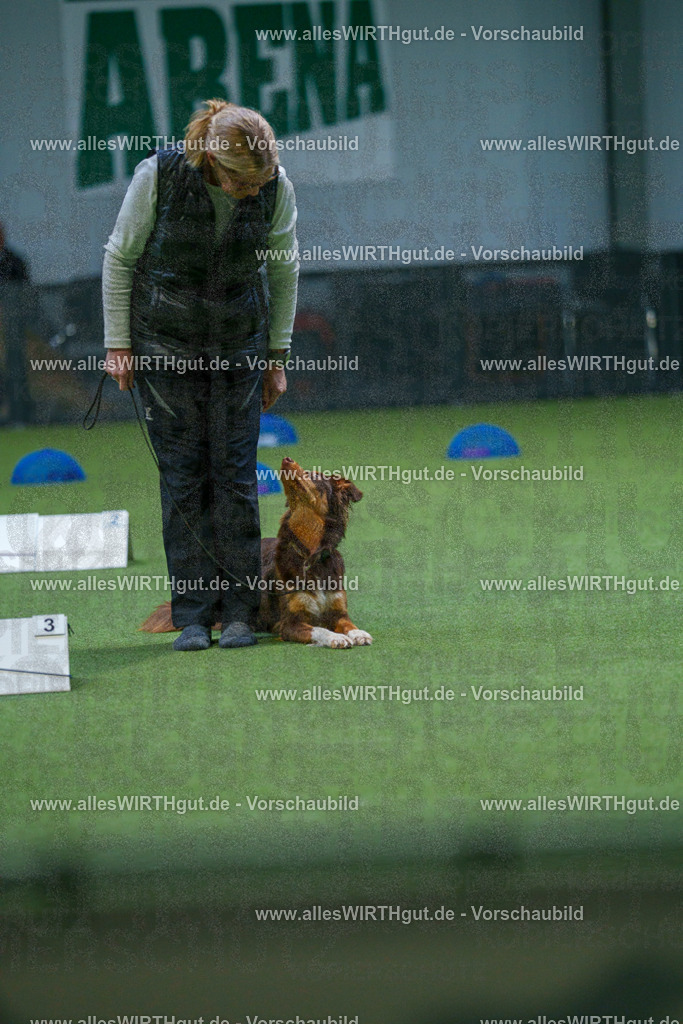 7R501334 | Professionelle Tierfotografie in Mönchengladbach von Daniel Wirth (allesWIRTHgut). Liebevolle & natürliche Bilder von Hunden & Katzen für unvergessliche Erinnerungen.