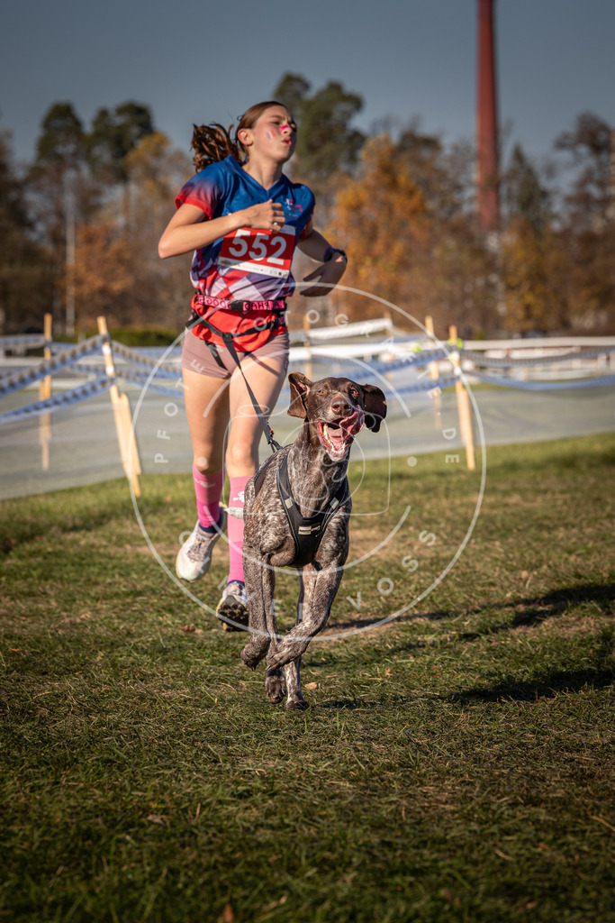 CaniXpix_0L8A7731 | Hundefotografie, Tierfotograf, Pfotenfotografie, Fotoshooting Hund, Hunde Portrait, Hundesport, Hundeportraits, Heideshooting, Hunde, Sportfotograf, Hundefotograf, Turnierhundsport, THS,  - Realisiert mit Pictrs.com