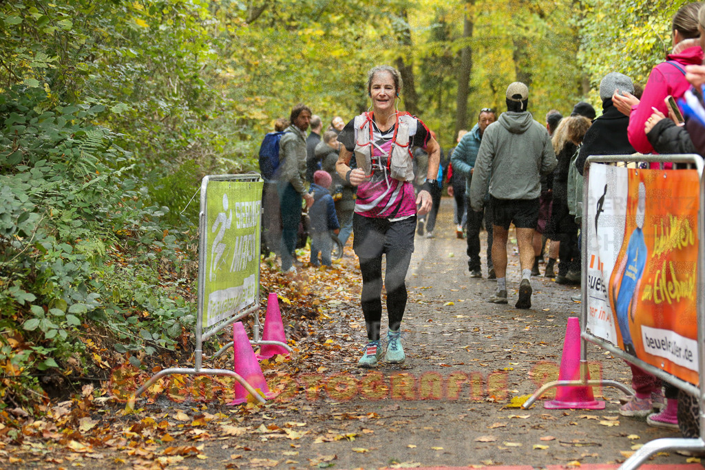 251026_1302_EX1_2289 | Sportfotografie im Rhein-Sieg Kreis, Köln, Bonn, NRW, Rheinland Pfalz, Hessen, etc. Unser Tätigkeitsfeld umfasst den Laufsport vom Volkslauf über den Marathon, Duathlon, Triathon bis zum Ultralauf wie Kölnpfad Ultra oder Schindertrail.