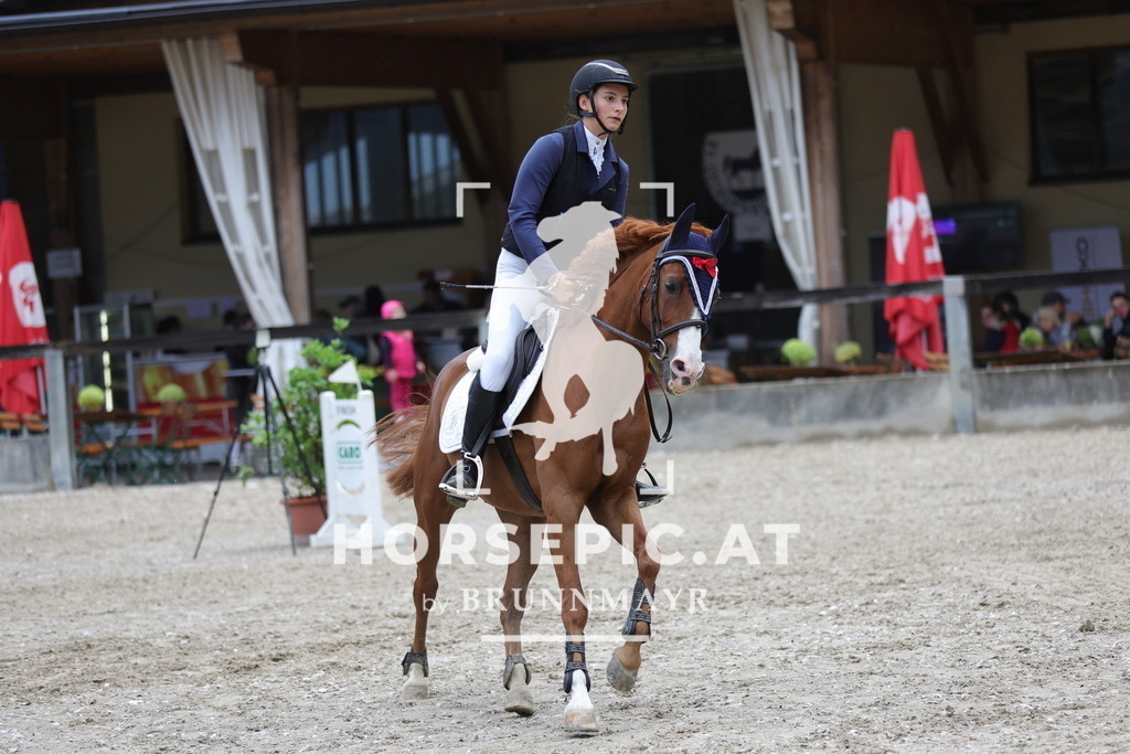 0P6A0135 | Willkommen bei Brunnmayr - Design & Fotografie – Ihrem Spezialisten für Reitturniere und Pferdeveranstaltungen in Oberösterreich, Salzburg und Bayern! Seit über 17 Jahren sind wir leidenschaftlich dabei.