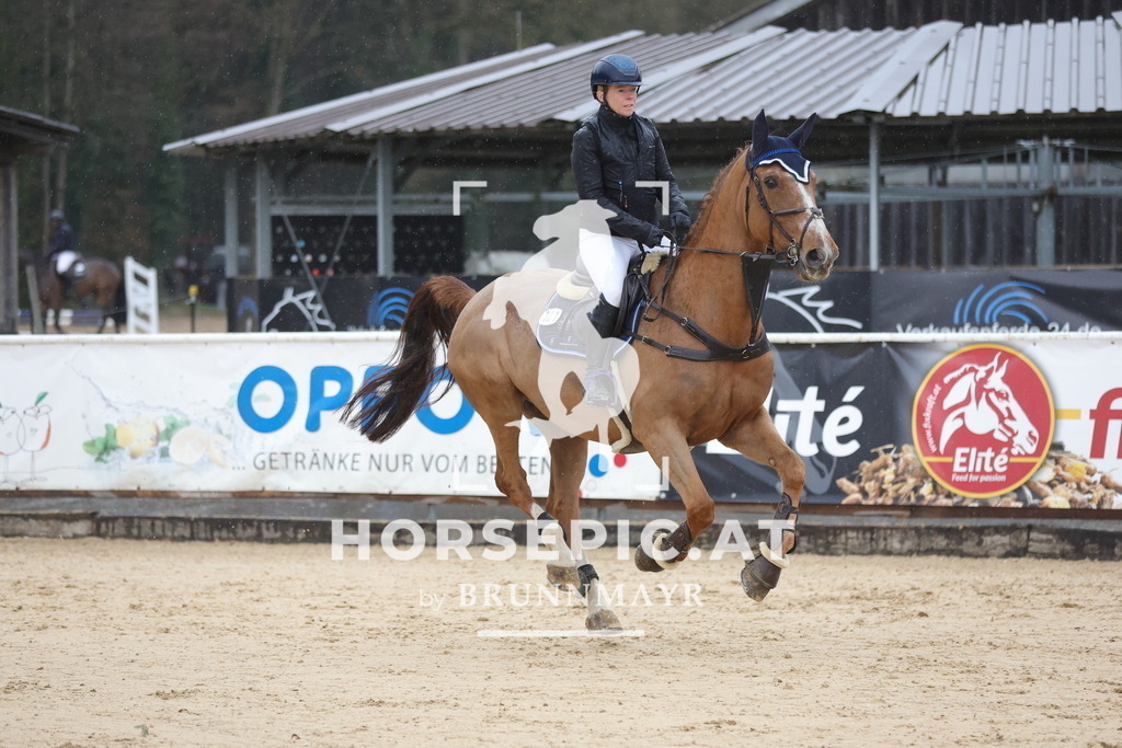 0P6A9835 | Willkommen bei Brunnmayr - Design & Fotografie – Ihrem Spezialisten für Reitturniere und Pferdeveranstaltungen in Oberösterreich, Salzburg und Bayern! Seit über 17 Jahren sind wir leidenschaftlich dabei.