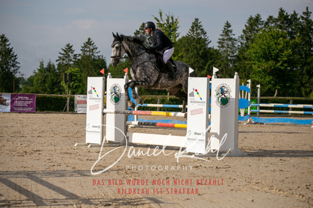 IMG_5272 | Turniersportfotografie; Pferdefotografie; Dressurfotografie