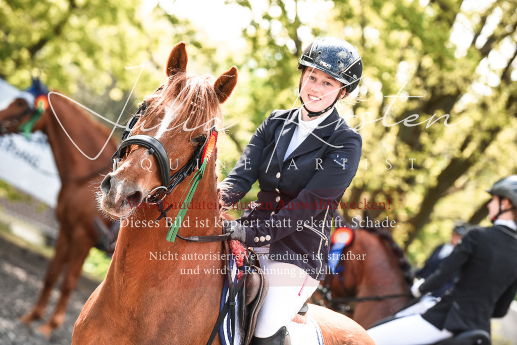 DSC_9114 | Pferde- und Turnierfotografie in Westsachsen. Pferdeportraits, Auftragszeichnungen und intuitive Kunst.