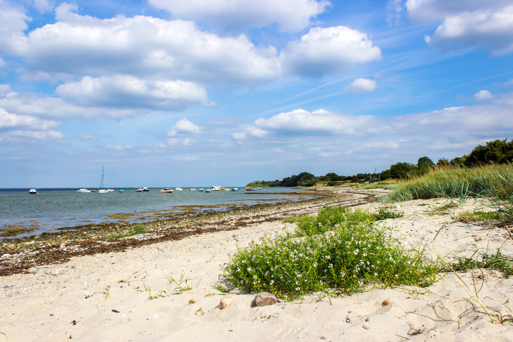 Strand in Habernis | Sandstrand in Habernis im Sommer - Realisiert mit Pictrs.com
