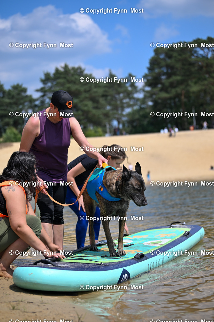 DSC_3362 | Hallo und herzlich Willkommen auf meiner Shop-Seite Fynn Most.

Ich wünsche Dir viel Spaß beim stöbern durch die Bilder, wenn Du Fragen hast oder Bilder vermisst, kannst du mir gerne eine Nachricht schreiben. - Realisiert mit Pictrs.com