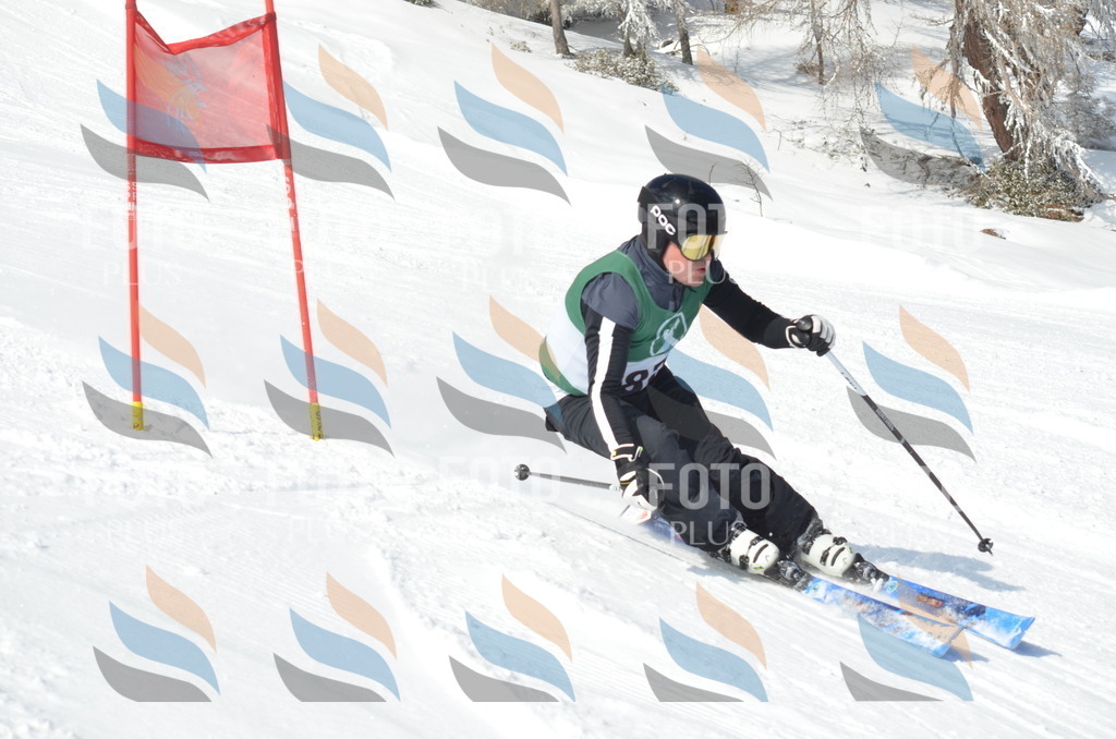 D9026 | holidayphoto