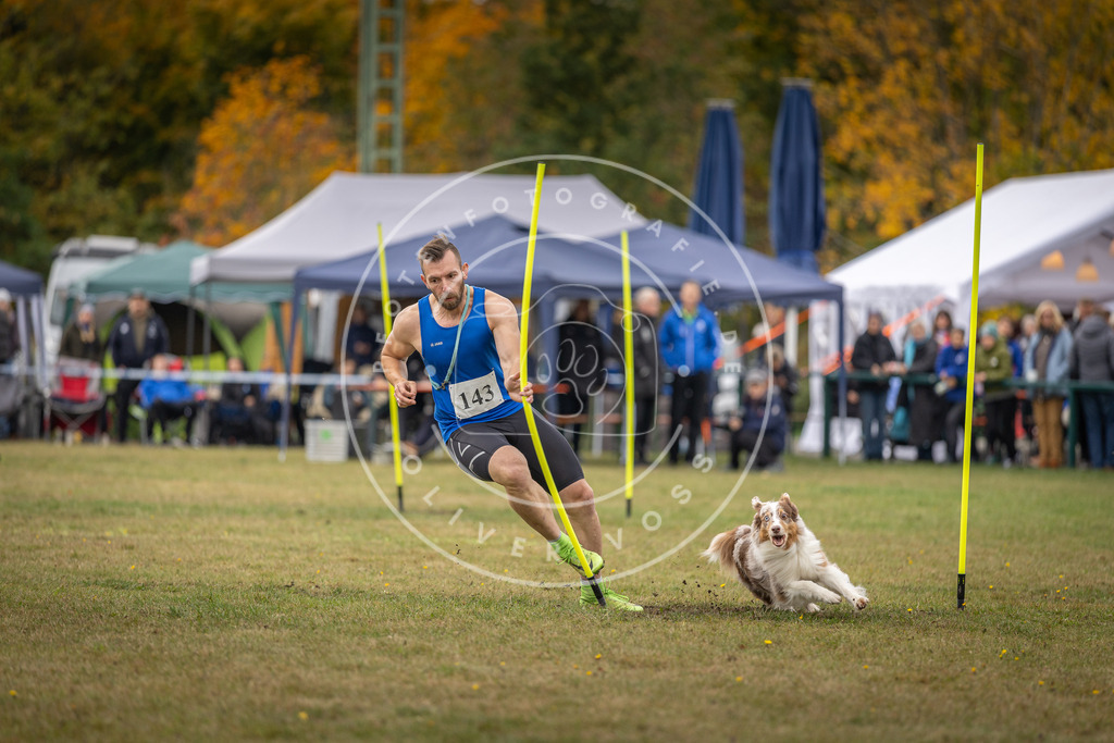 Pfotenfotografie_DV3A7993 | Hundefotografie, Tierfotograf, Pfotenfotografie, Fotoshooting Hund, Hunde Portrait, Hundesport, Hundeportraits, Heideshooting, Hunde, Sportfotograf, Hundefotograf, Turnierhundsport, THS,  - Realisiert mit Pictrs.com