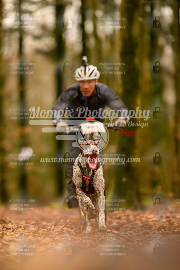 MompixPhotography_Habay2024_SA_Scooter-19 | PayLife